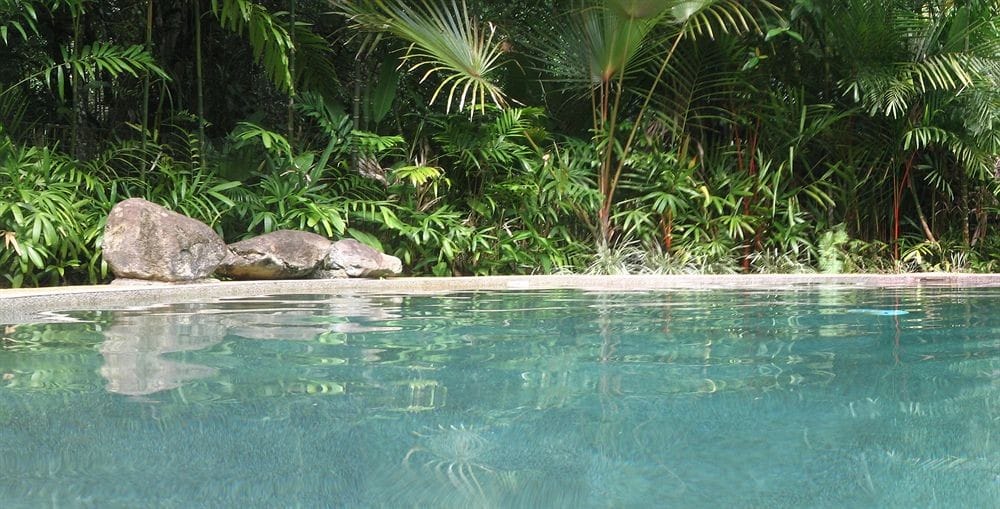 Cow bay en queensland